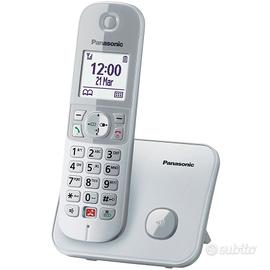 due cordless Panasonic pochi mesi di vita. 