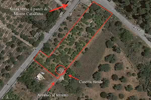 Ampio terreno panoramico Ter/37