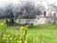 Immagine 14