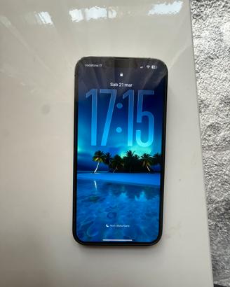 iPhone 13 Pro Max Grafite