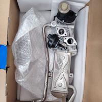 DELPHI EG10589-12B1 Valvola EGR