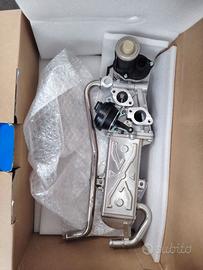 DELPHI EG10589-12B1 Valvola EGR