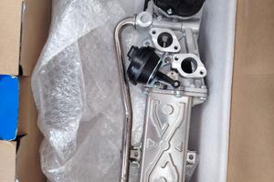 DELPHI EG10589-12B1 Valvola EGR