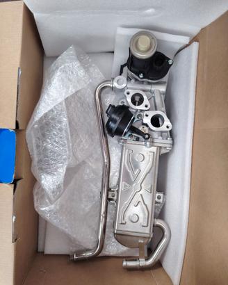 DELPHI EG10589-12B1 Valvola EGR