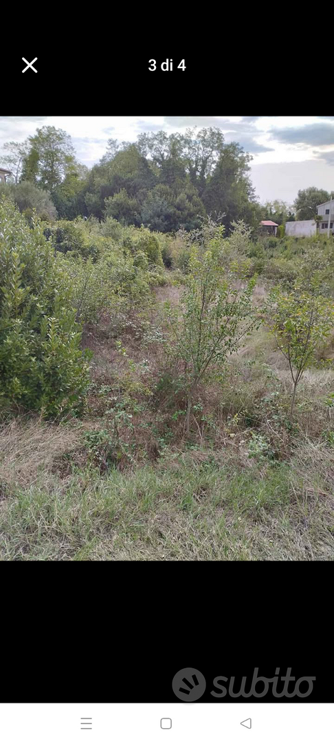 Terreni agricoli boschivi Istria Parenzo - Vista 3