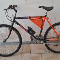 Mountain bike Bianchi