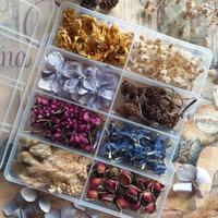 Mix fiori essiccati decorativi