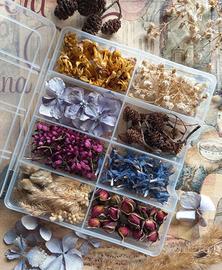 Mix fiori essiccati decorativi