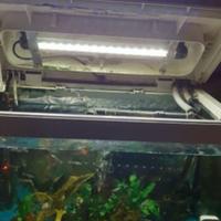 acquario Riviera 40 da 22litri 