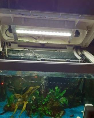 acquario Riviera 40 da 22litri 