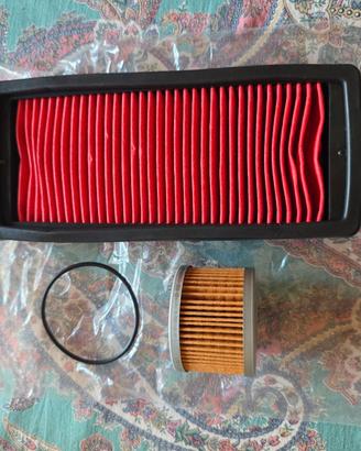 Filtro zontes 310