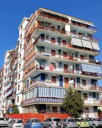 BOX A PALERMO
