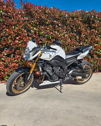 Yamaha FZ-8 Akrapovic