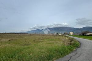 TER. AGRICOLO A SPELLO