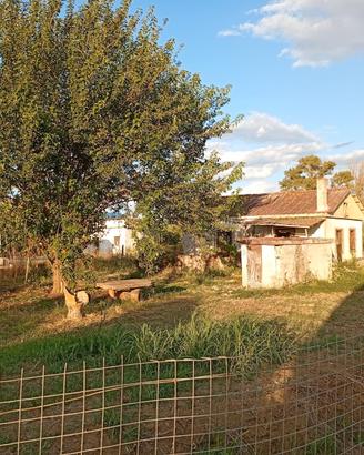 Indipendente rustico + terreno Pontecagnano Faiano