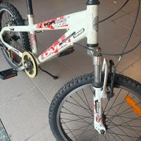 Bicicletta Bianchi Forza