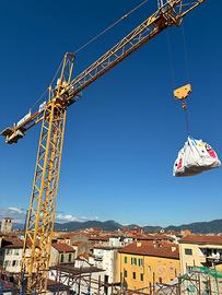 Gru a torre/automontanti