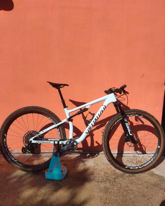MTB specialized