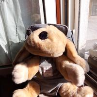 zaino a rete  porta animali