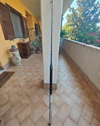 Canna Stand-up  Tubertini A-One