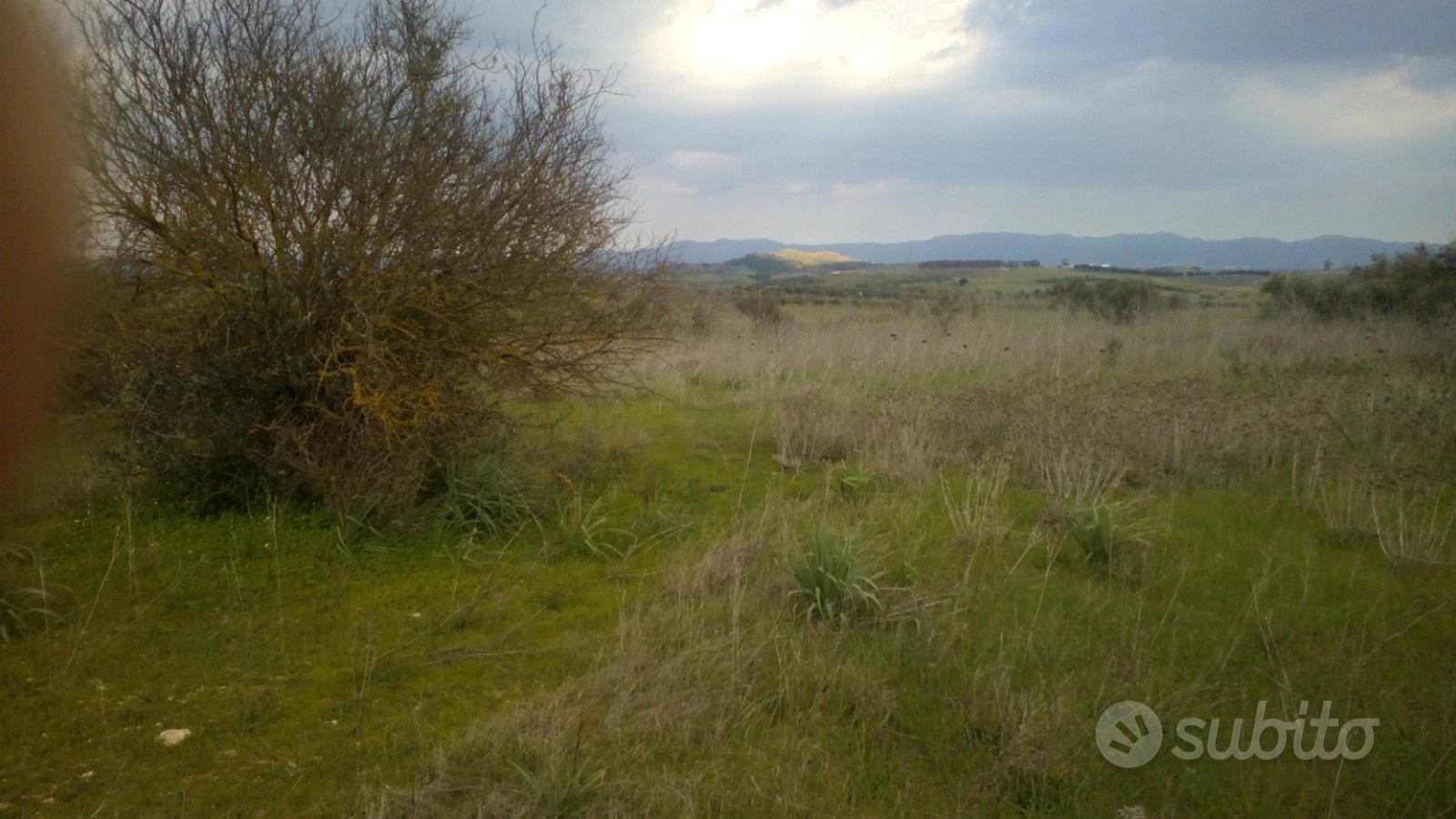 Monastir , terreno agricolo di 9100mq - Vista 2