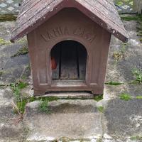 Cuccia per cane in cemento