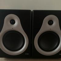 Coppia di M-Audio DSM1 Monitor da studio
