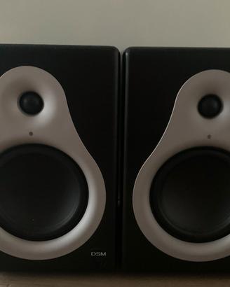 Coppia di M-Audio DSM1 Monitor da studio