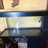 acquario Rio 240 litri