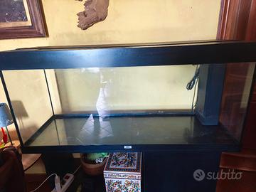 acquario Rio 240 litri