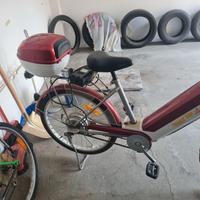 Bicicletta elettrica e a pedalata assistita