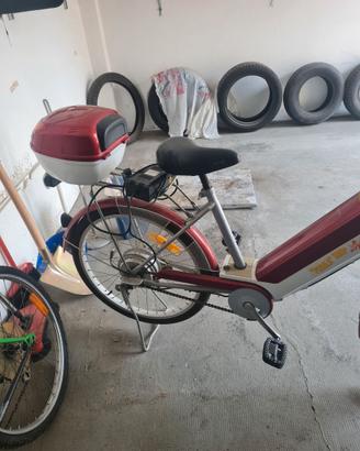 Bicicletta elettrica e a pedalata assistita