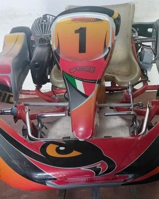 kart intrepid 