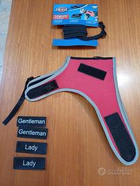 PETTORINA E GUINZAGLIO PER GATTI