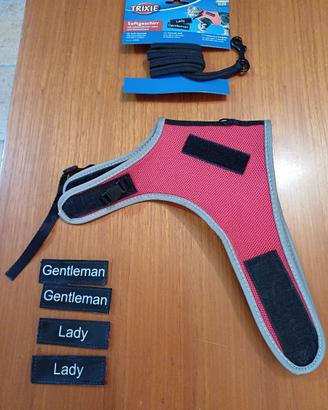 PETTORINA E GUINZAGLIO PER GATTI