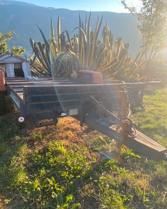 Rimorchio porta cingolo