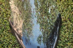 Visiera t max del 2006