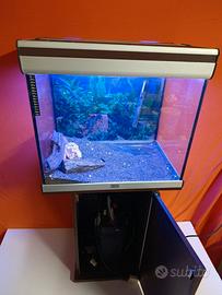 acquario Atlantic 60