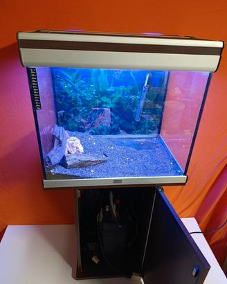 acquario Atlantic 60