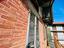 Immagine 9