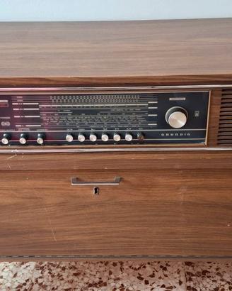 Mobile Radio Stereo GRUNDIG Mandello