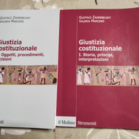 Giustizia costituzionale libro giurisprudenza