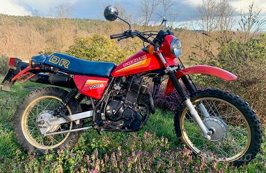 Moto dual sport Vendita in Moto e scooter