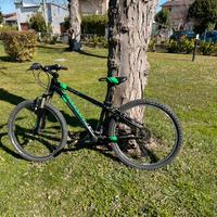 cannondale mtb 24