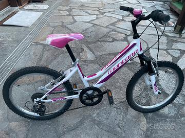 Bicicletta Montana