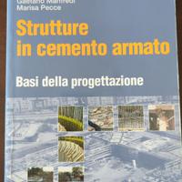 strutture in cemento armato 