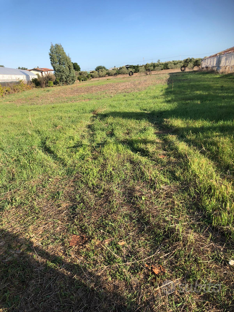 Terreno Agricolo Uta - Vista 2