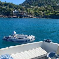 Tender gommone