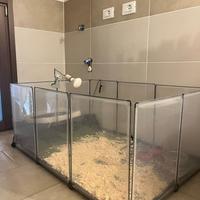 Recinto per animali