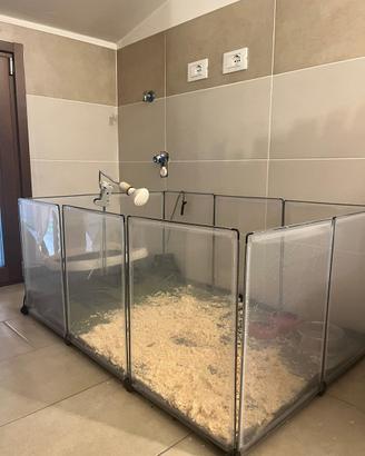Recinto per animali